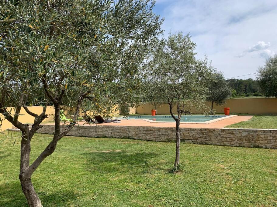 Loue Studio Dans Une Villa Avec Piscine Terrasse Saint-Theodorit Exterior foto
